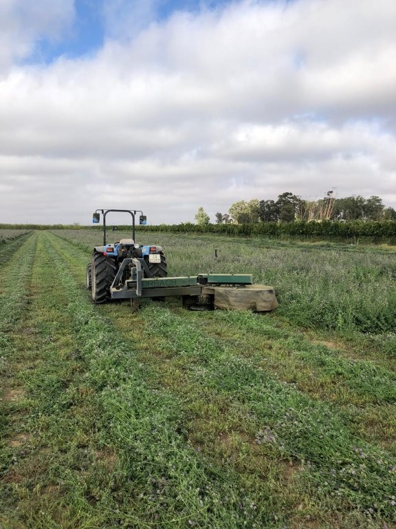 3 Bedroom Property for Sale in Koekenaap Western Cape